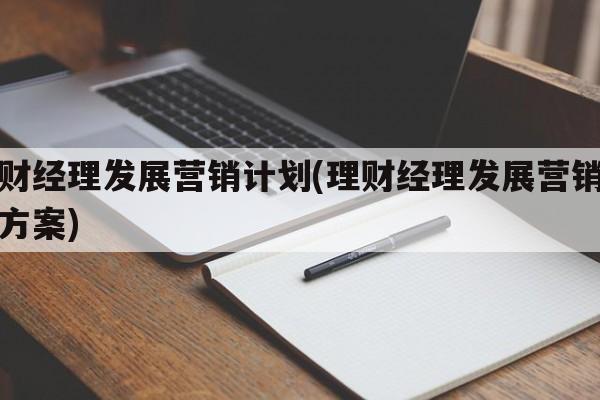 理财经理发展营销计划(理财经理发展营销计划方案)